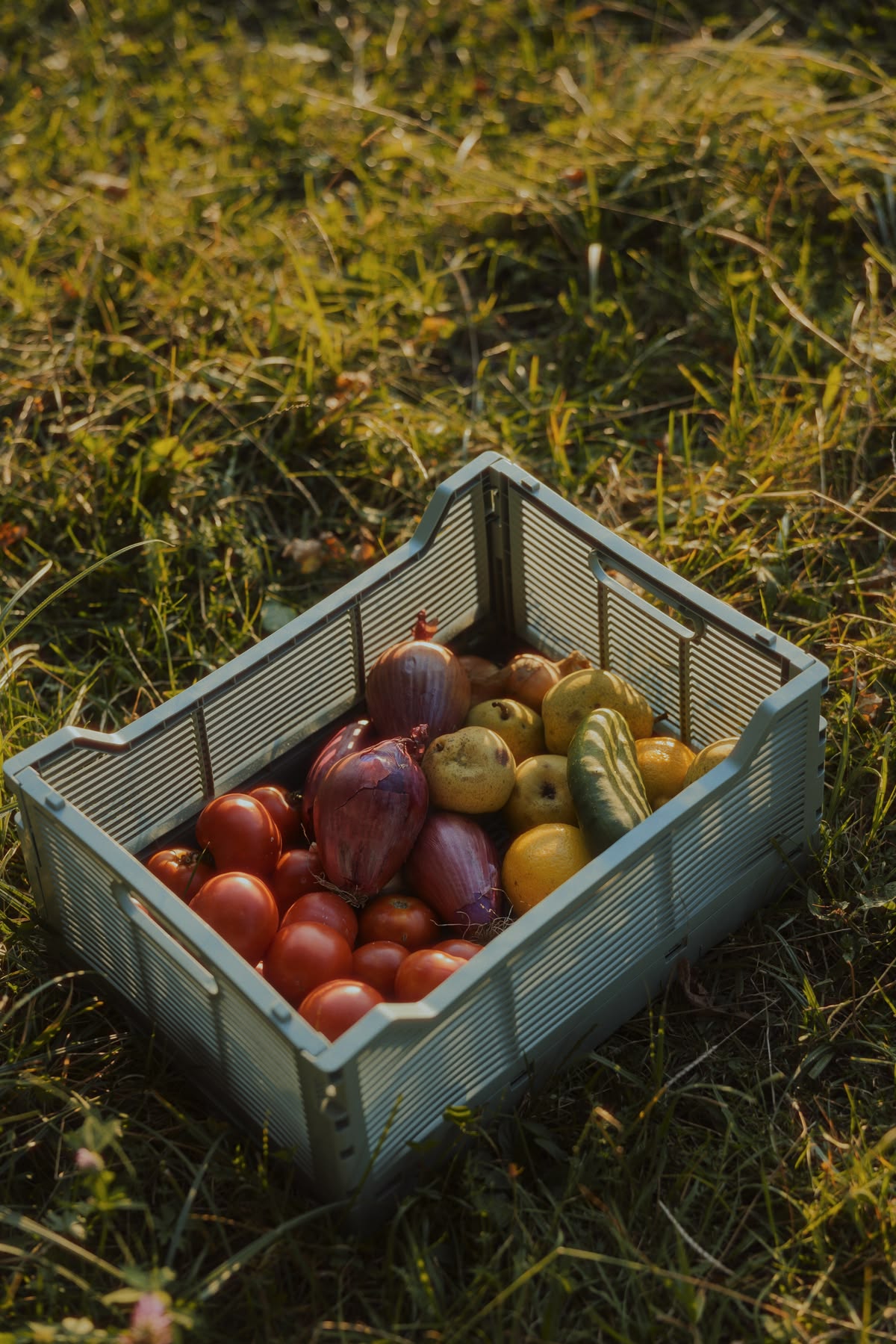 Caisse de légumes